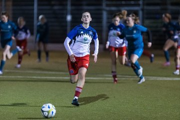 Bild 349 - F SC Alstertal-Langenhorn - Hamburger SV 3 : Ergebnis: 2:2